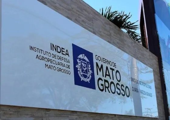 Ação Popular questiona terceirização de fiscalização agropecuária em Mato Grosso A ação tem como alvo o Estado de Mato Grosso, o Indea, a presidente do instituto