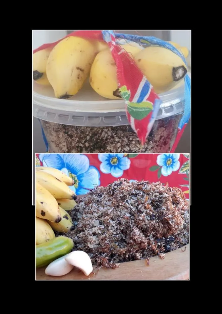 Cuiabaninha Paçoca a melhor Paçoca de Pilão da vida, pelas mãos talentosas da minha amiga Larissa Sodré:Cuiabaninha Paçoca a melhor Paçoca de Pilão da vida, pelas mãos talentosas da minha amiga Larissa Sodré: