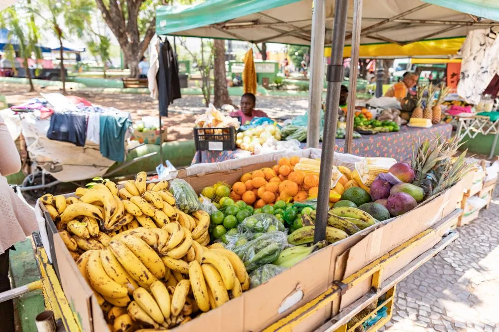 Praça Ipiranga recebe a Feira da Agricultura Familiar e Solidária nesta segunda