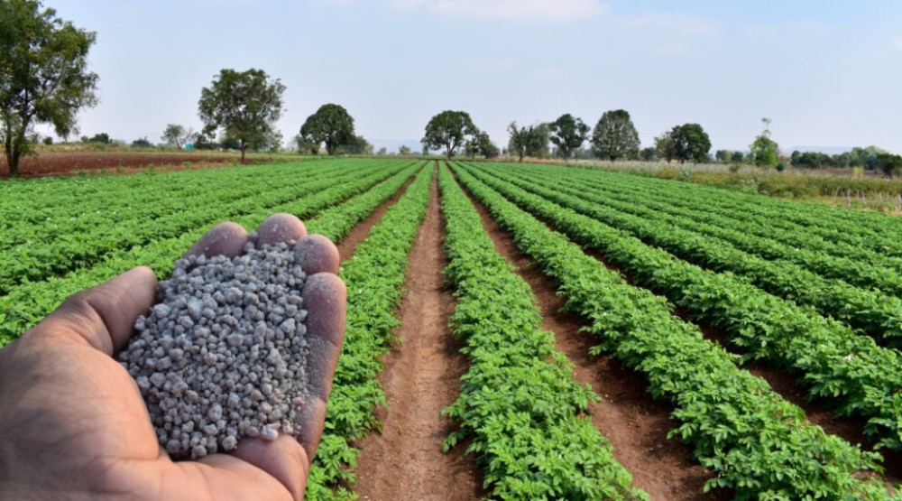 Aumento na área plantada de soja impulsiona mercado de defensivos agrícolas