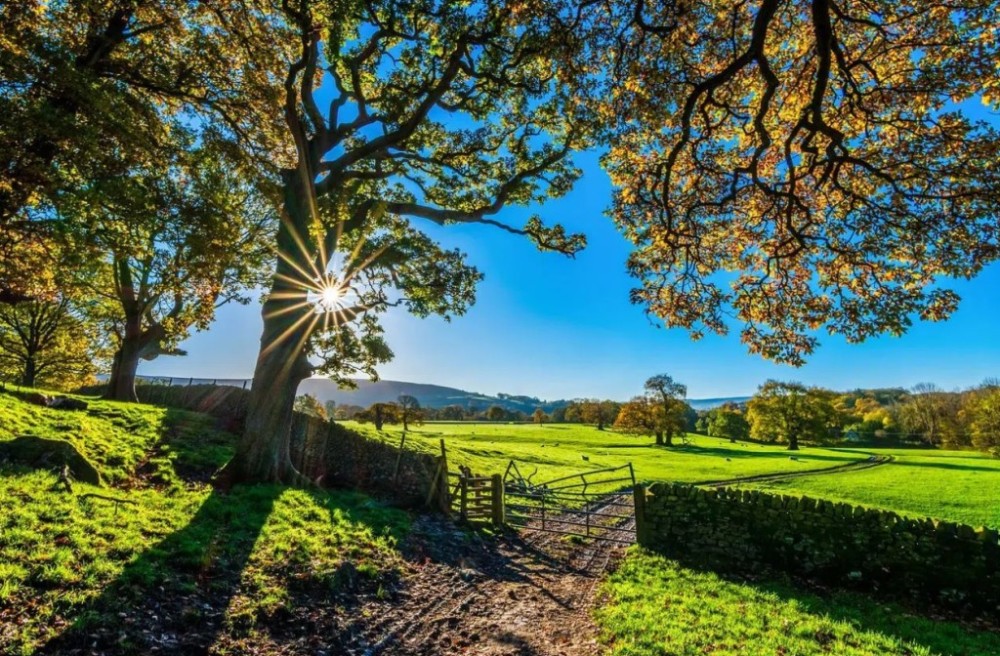 Especialistas vão discutir como melhorar a imagem do agronegócio