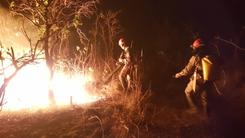 Webinar debate maior operação de combate a incêndios florestais em Mato Grosso