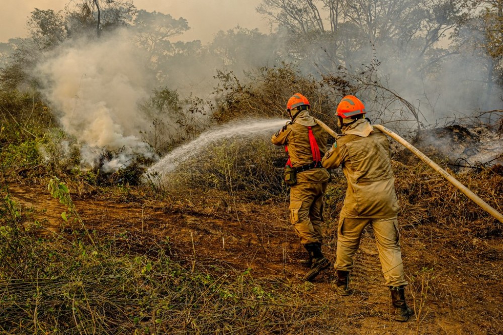 MT quadruplicou investimentos em ações de prevenção e combate a incêndios desde 2020