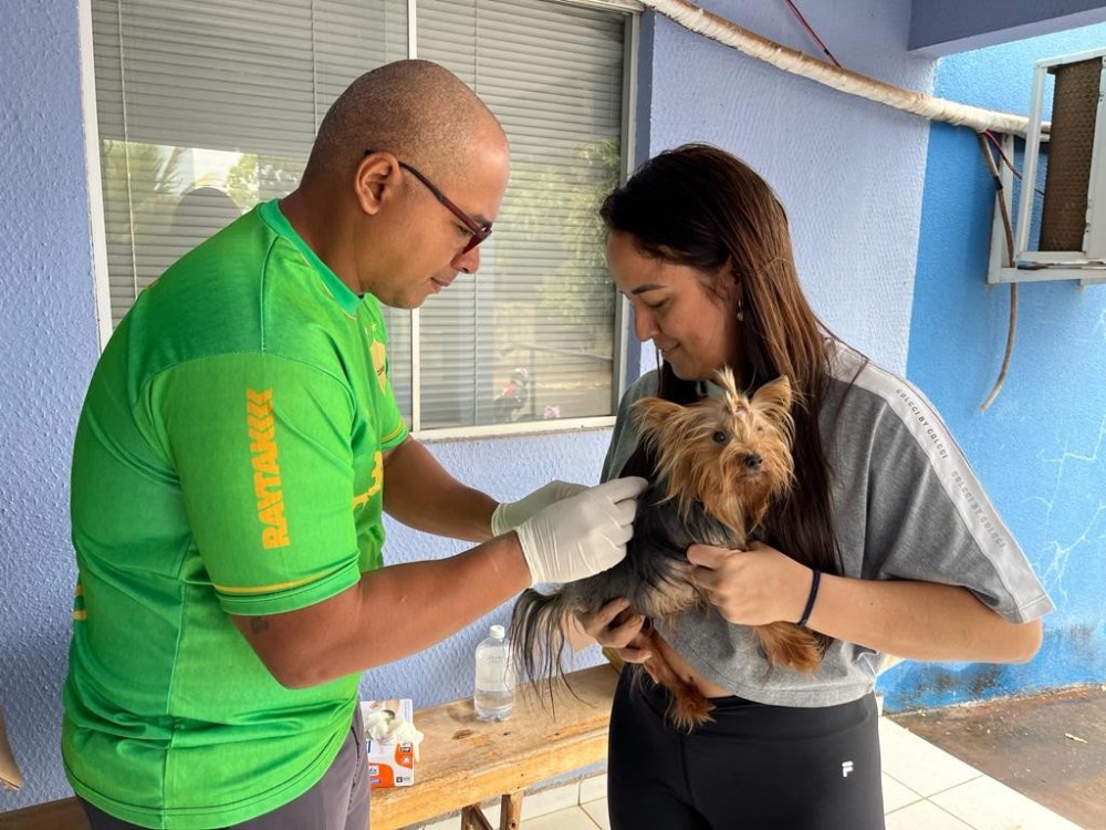 Prefeitura de Diamantino imuniza mais de mil cães e gatos no dia ‘D’ vacinação antirrábica
