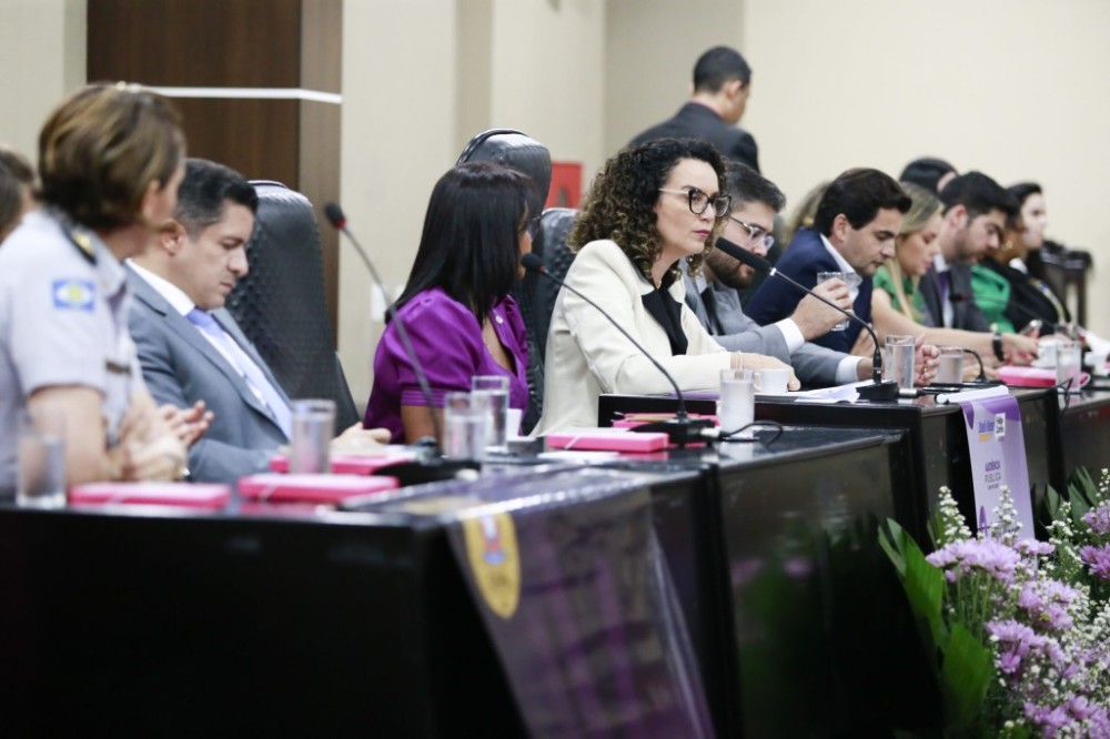 Audiência pública discute combate à violência contra a mulher em Mato Grosso