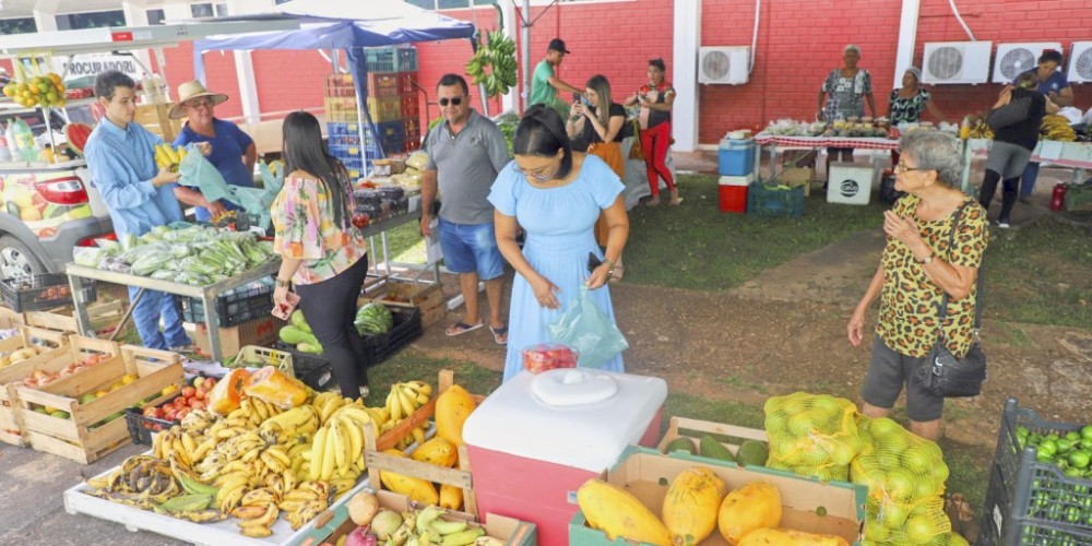 Prefeitura mantém apoio contínuo à comunidade agrícola local