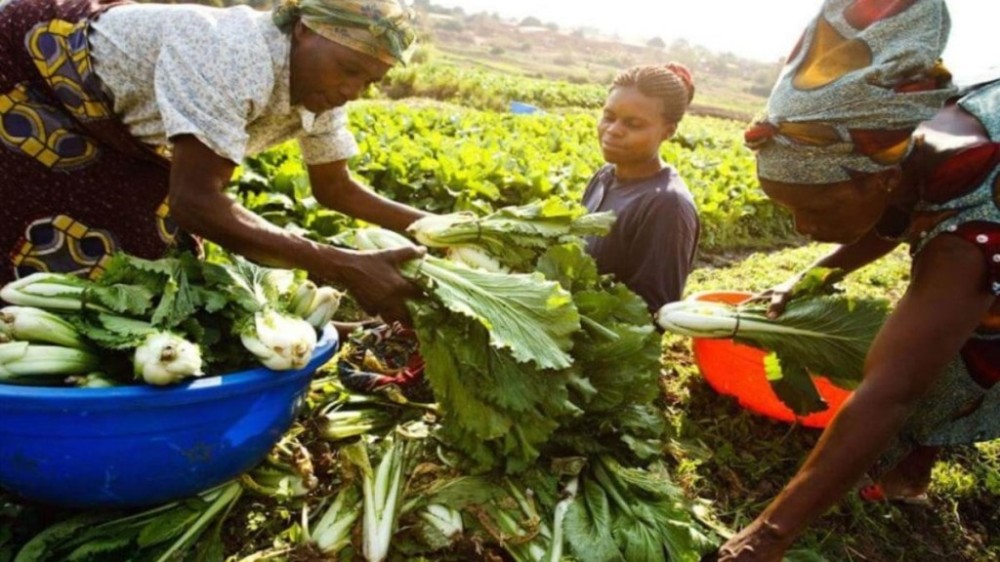 África polui menos e sofre mais com mudanças climáticas, diz estudo