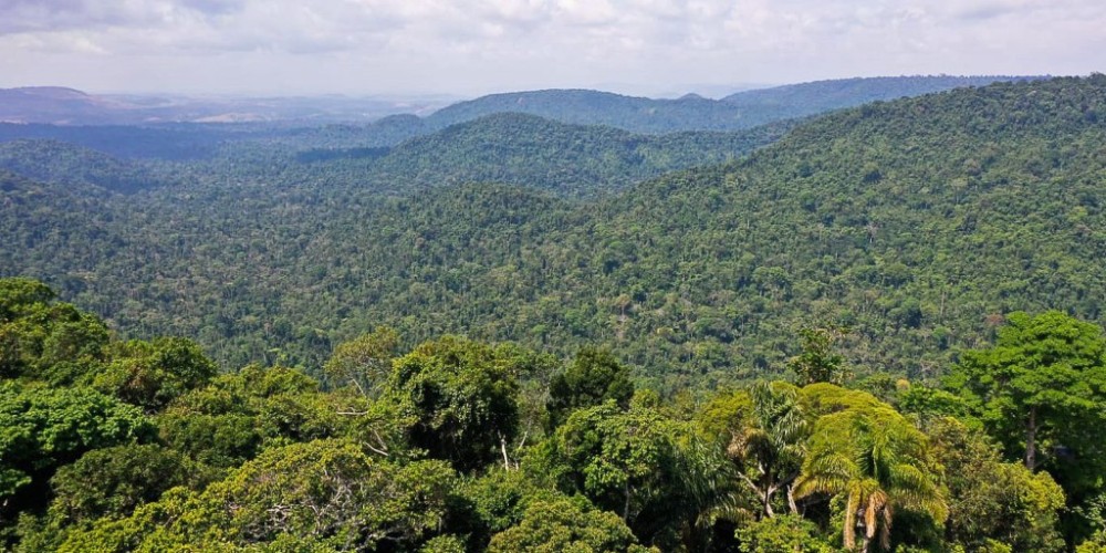 Petrobras faz primeira compra de créditos de carbono