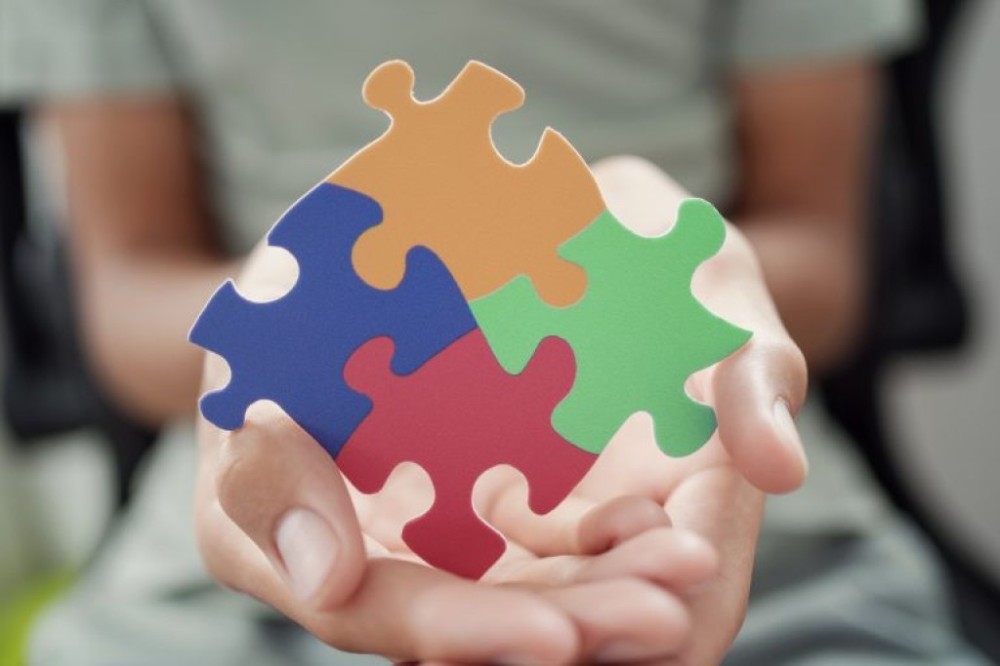 Comissão debate capacitação de acompanhantes para pessoas com autismo em escolas
