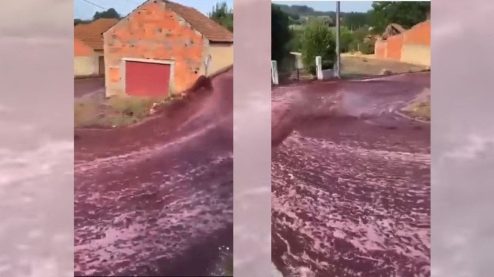 Vídeo: 'Rio' de vinho invade ruas de cidade em Portugal