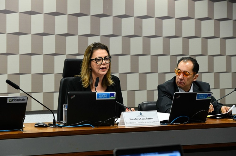 CMA cria subcomissão temporária sobre ativos ambientais brasileiros