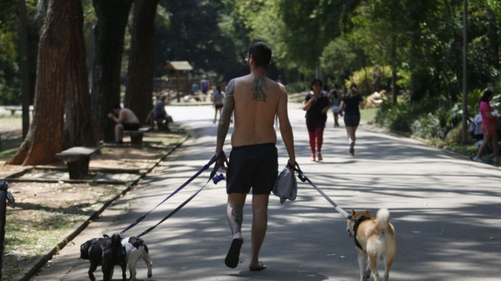 Calor ou frio? Outubro deve ter altas temperaturas e mais chuva no Sul