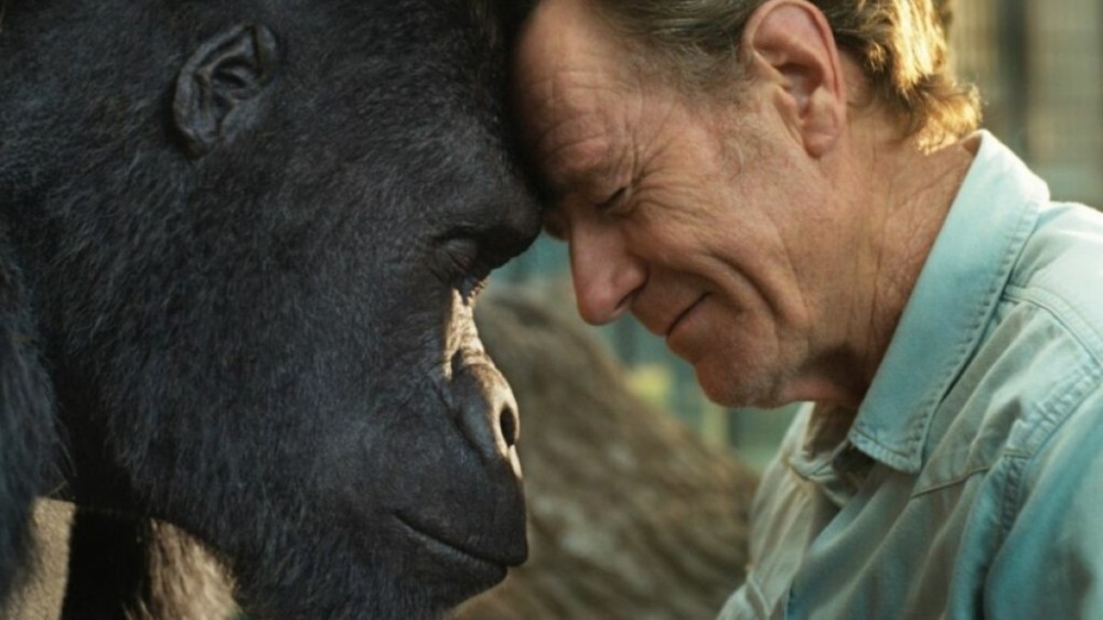 4 filmes para celebrar o Dia Mundial dos Animais