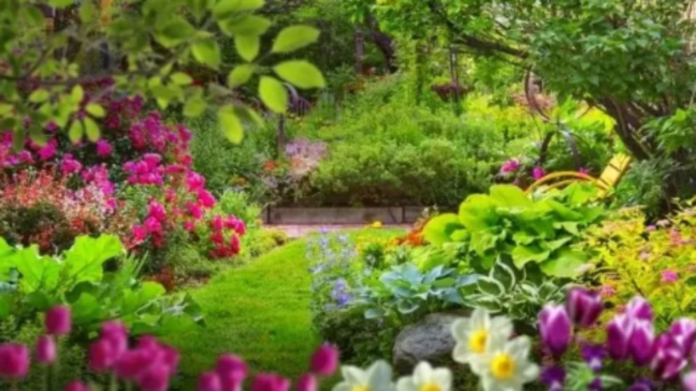 3 dicas para ter um jardim saudável e bonito na primavera