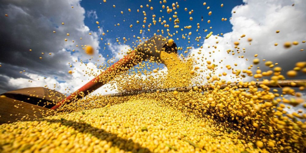 Safra agrícola deverá superar 318 milhões de toneladas neste ano 
