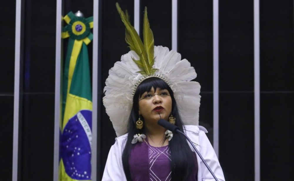 Comissões vão realizar seminário para debater participação brasileira em conferência do clima