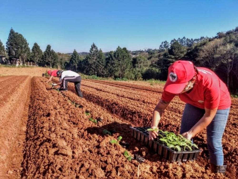 Projeto abre crédito no Orçamento de 2023 para assentados da reforma agrária