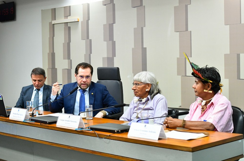 Indígenas ouvidos na CPI das ONGs defendem 'roça mecanizada'