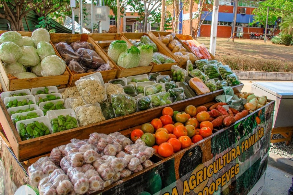 Produtores oferecem alimentos frescos e diversificados na 1ª Feira da Agricultura Familiar nesta quarta-feira (25)