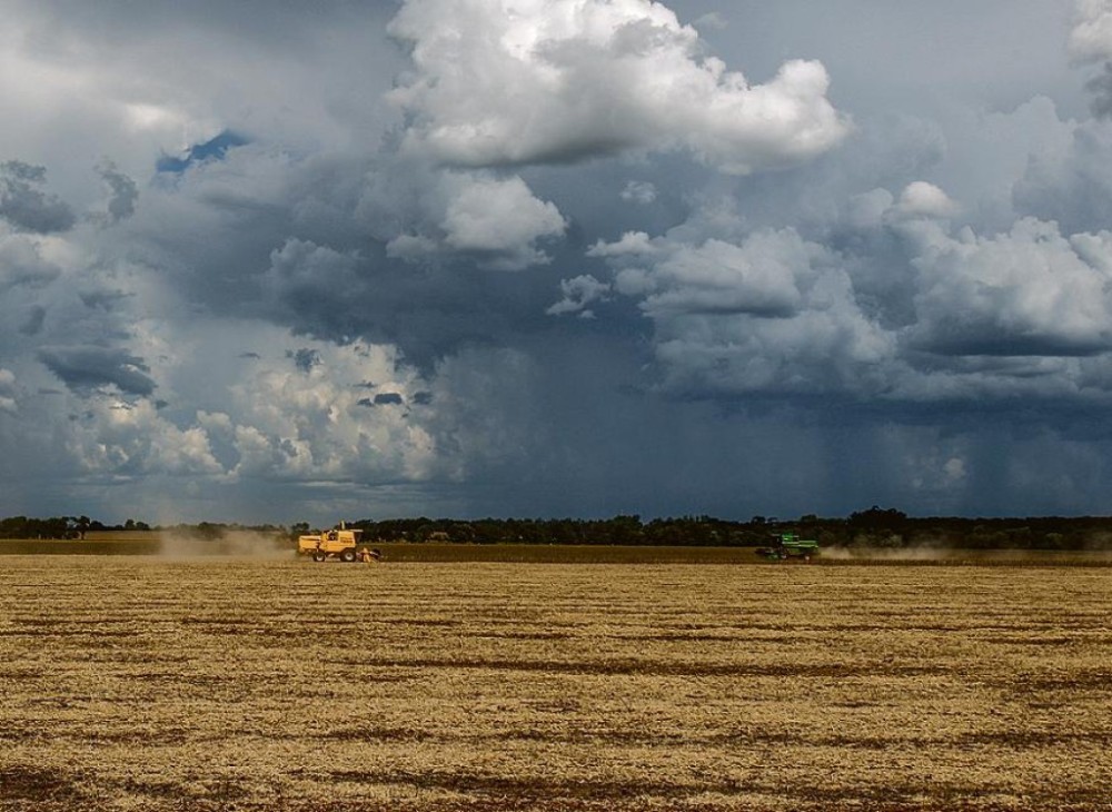 Apesar das intempéries climáticas, plantio da soja no Brasil atingiu 30% da área prevista