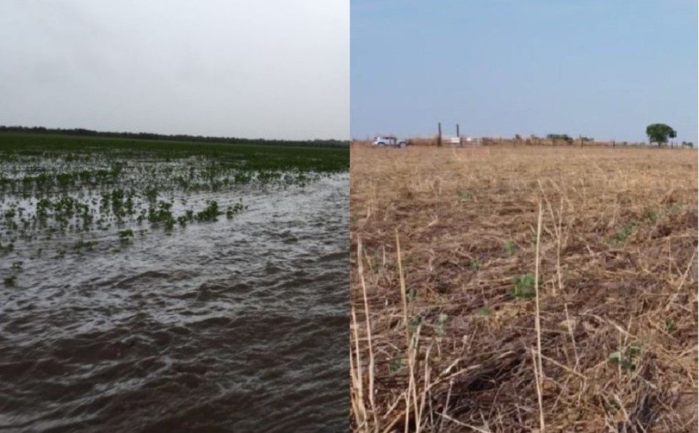 Intempéries climáticas atrasam o plantio da soja e podem prejudicar a produtividade