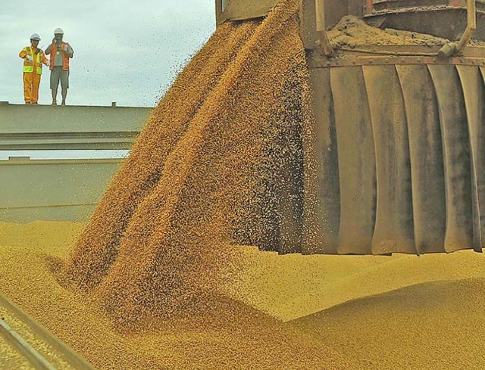 Semana começa com cotações da soja alta e anima o setor