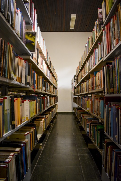Edital da Secel fomenta publicação de livros e oficinas de criação literária em Mato Grosso