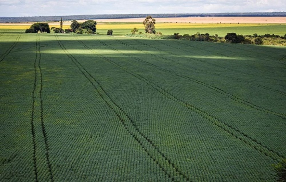 Agronegócio enfrenta o desafio de ampliar a produção e as perspectivas de futuro da população