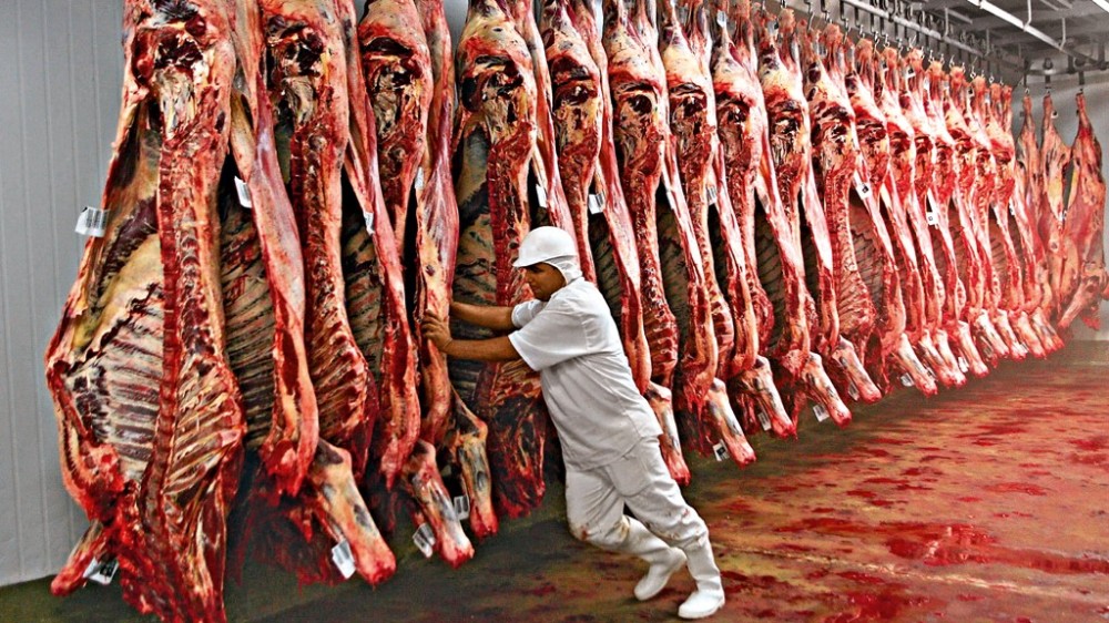 Brasil exporta mais de 10 mil toneladas de carne bovina todo dia