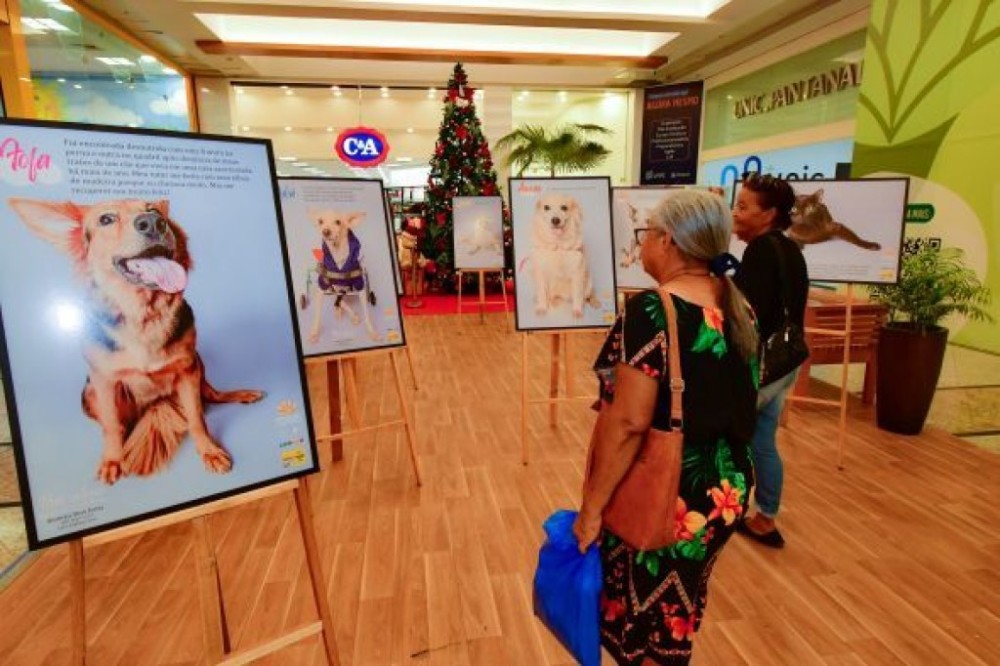 Exposição de animais especiais já tem até 