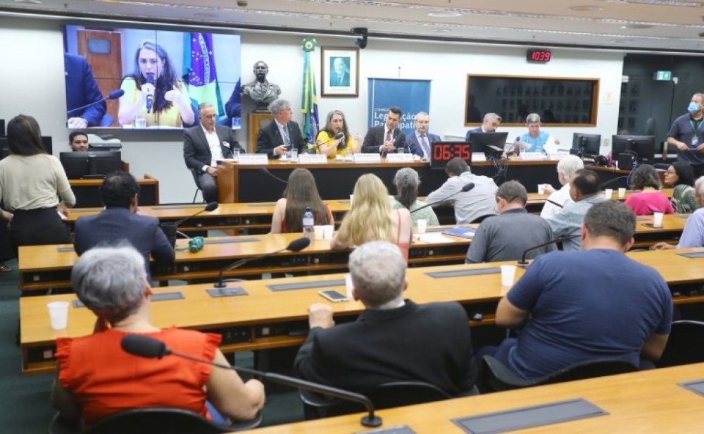 Apicultores denunciam a mortandade de abelhas por agrotóxicos e cobram banimento imediato do Fipronil