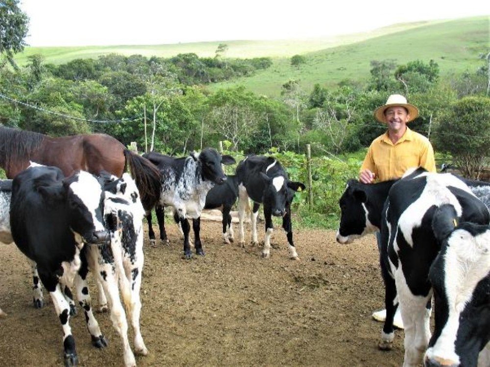Pecuaristas de Minas Gerais estão dispensados da vacinação contra a febre aftosa