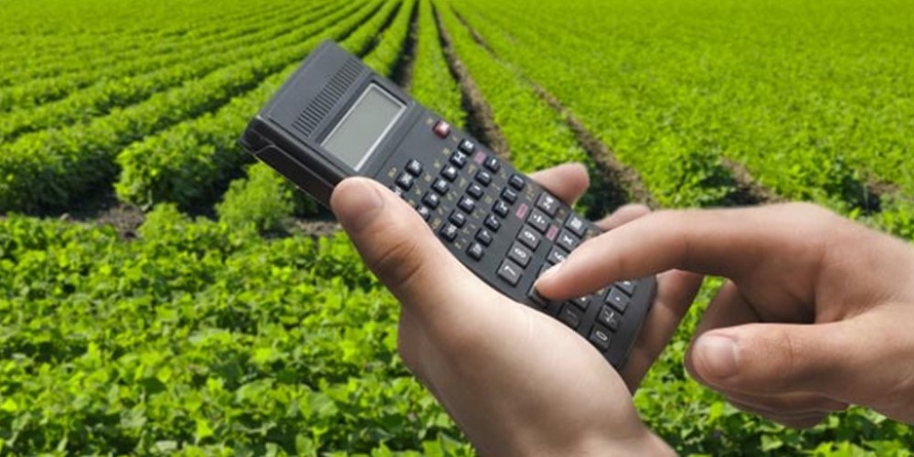 Exportações do agronegócio devem bater recorde em novembro, prevê Cepea