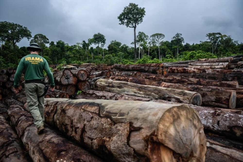 Comissão de Mudanças Climáticas discute regulação do mercado de carbono