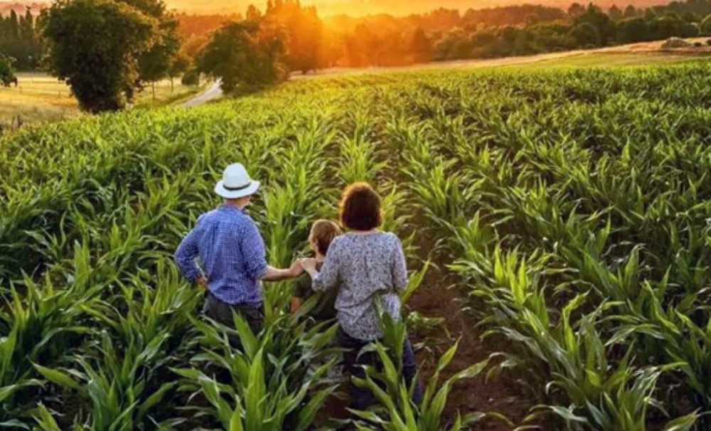 Seminário sobre Pesquisa e Inovação na Agricultura Familiar em Mato Grosso do Sul