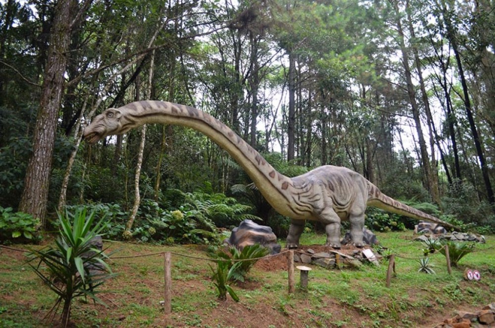 Canela é reconhecida como a Capital Nacional dos Parques Temáticos