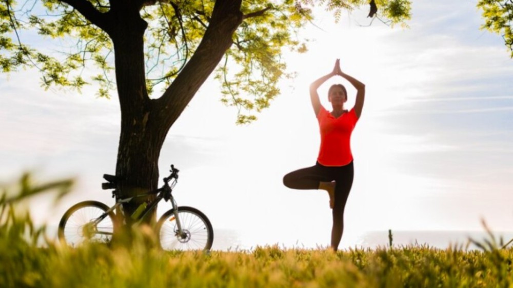Detox Ayurvedica: como desintoxicar o corpo antes do fim de ano