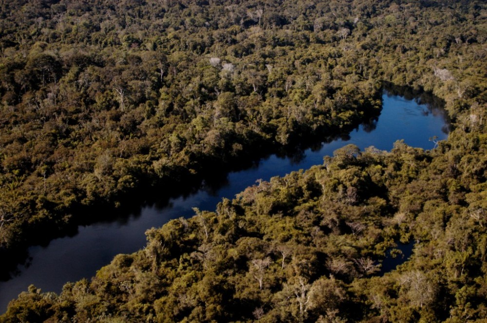 Governo de MT investe R$ 2 milhões para apoiar pesquisas de impacto direto na cadeia produtiva da Amazônia Legal