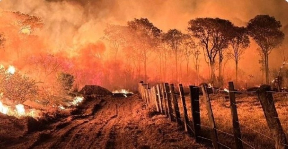 Queimadas estão proibidas no Pantanal até o fim do mês