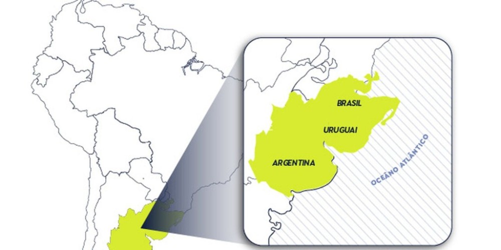Pampa Sul-Americano perdeu 20% de vegetação campestre, diz MapBiomas
