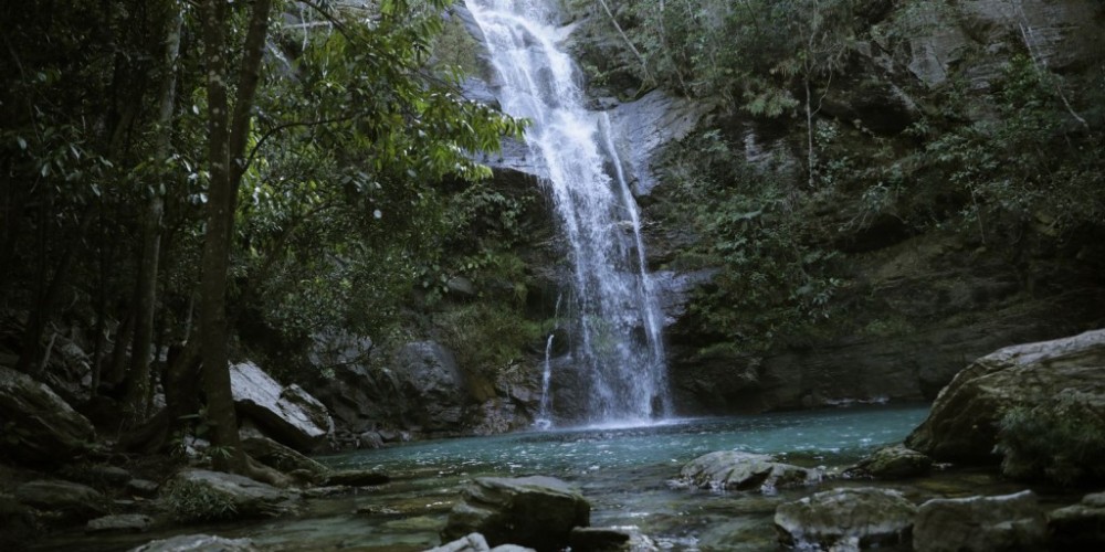 Governo relança Quilombo das Américas com foco ambiental