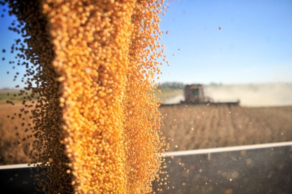 Conab faz nova redução na estimativa de produção de soja