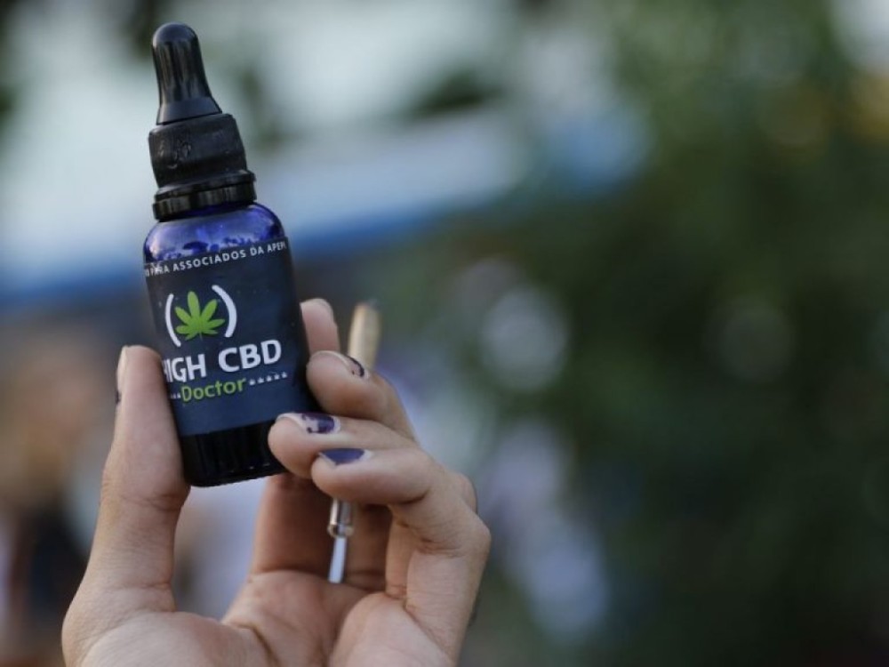 Comissão debate permissão para cultivo e comercialização do cânhamo no Brasil