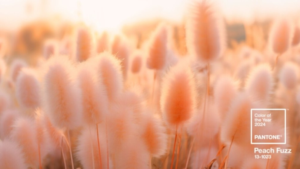 Conheça os efeitos energéticos da cor Peach Fuzz da Pantone