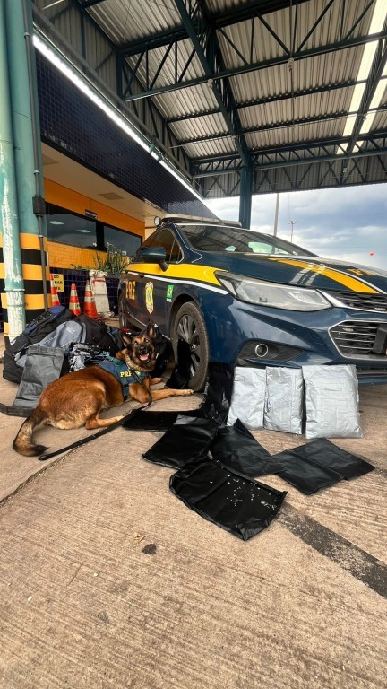 Fiscalização na BR364 Resulta em Apreensão de Drogas e Prisão de Dois Suspeitos