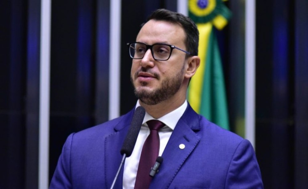 Comissão aprova projeto para proteger aves de colisões com prédios envidraçados