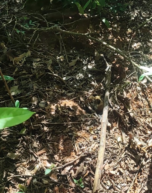 Polícia Civil localiza em mata ossada de adolescente desaparecido desde dezembro