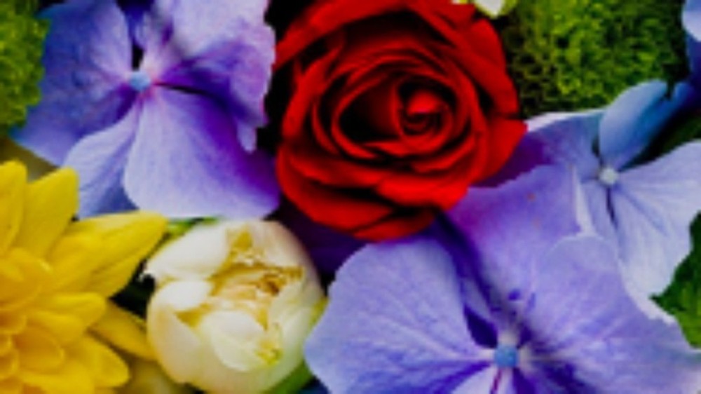 Clóvis Souza: Flores, entenda o significado das suas cores