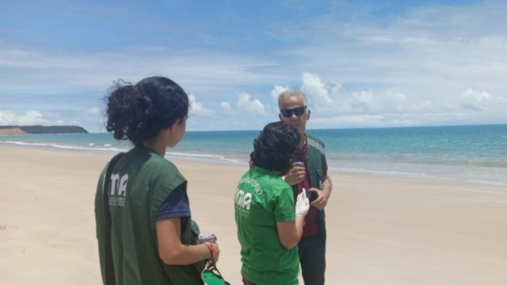 Maré Vermelha intoxica centenas de pessoas em PE e AL; entenda