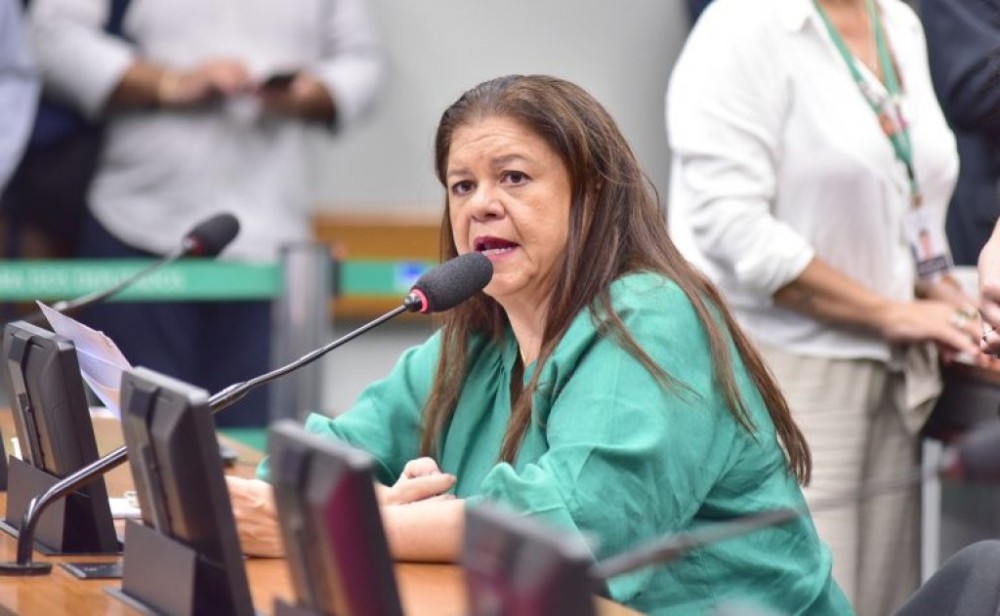 Projeto oficializa participação de organizações da sociedade civil no combate à violência contra a mulher